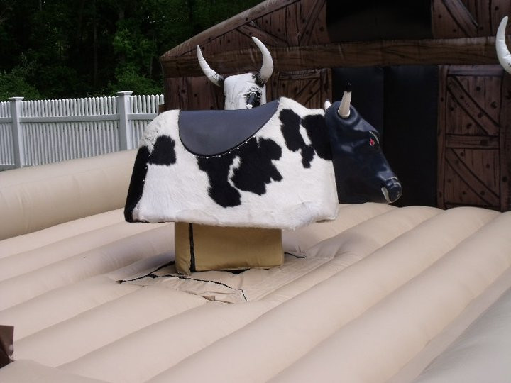 mechanical_bull