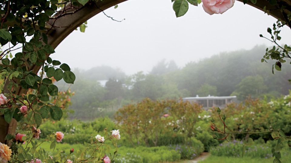 HAMPTONSGARDENS_P133