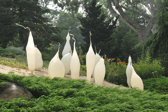 White_Belugas