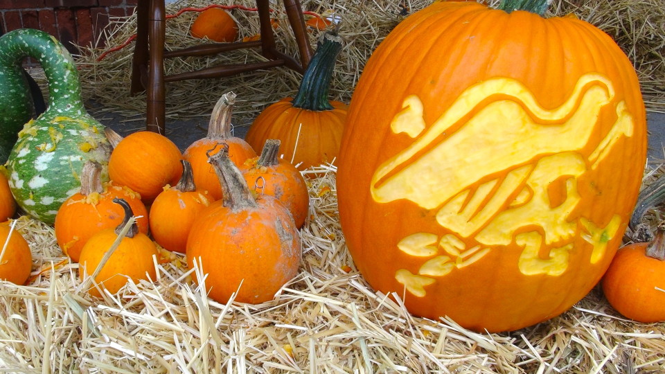 Septemberfest on KDHamptons.com