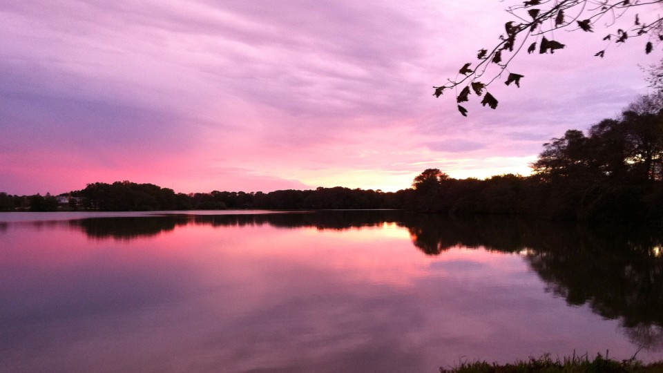Mill Pond on KDHamptons
