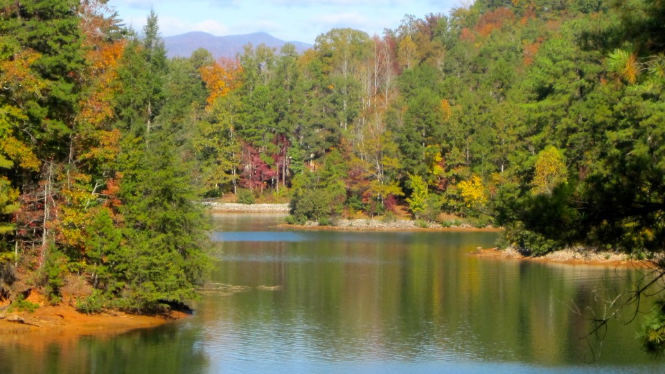 The Reserve