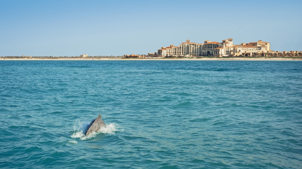 The St. Regis Saadiyat Island Resort