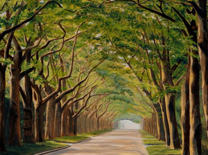 Wyndanch Early Morning