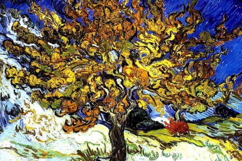 Van Gogh