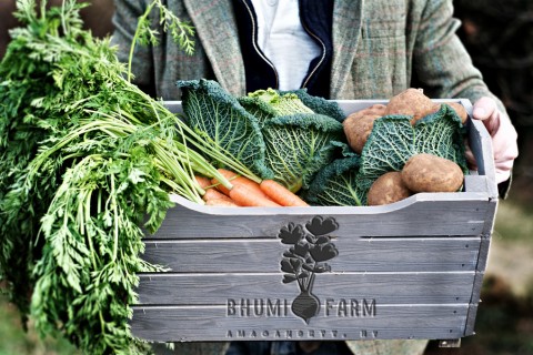 Bhumi Farm veggie crate