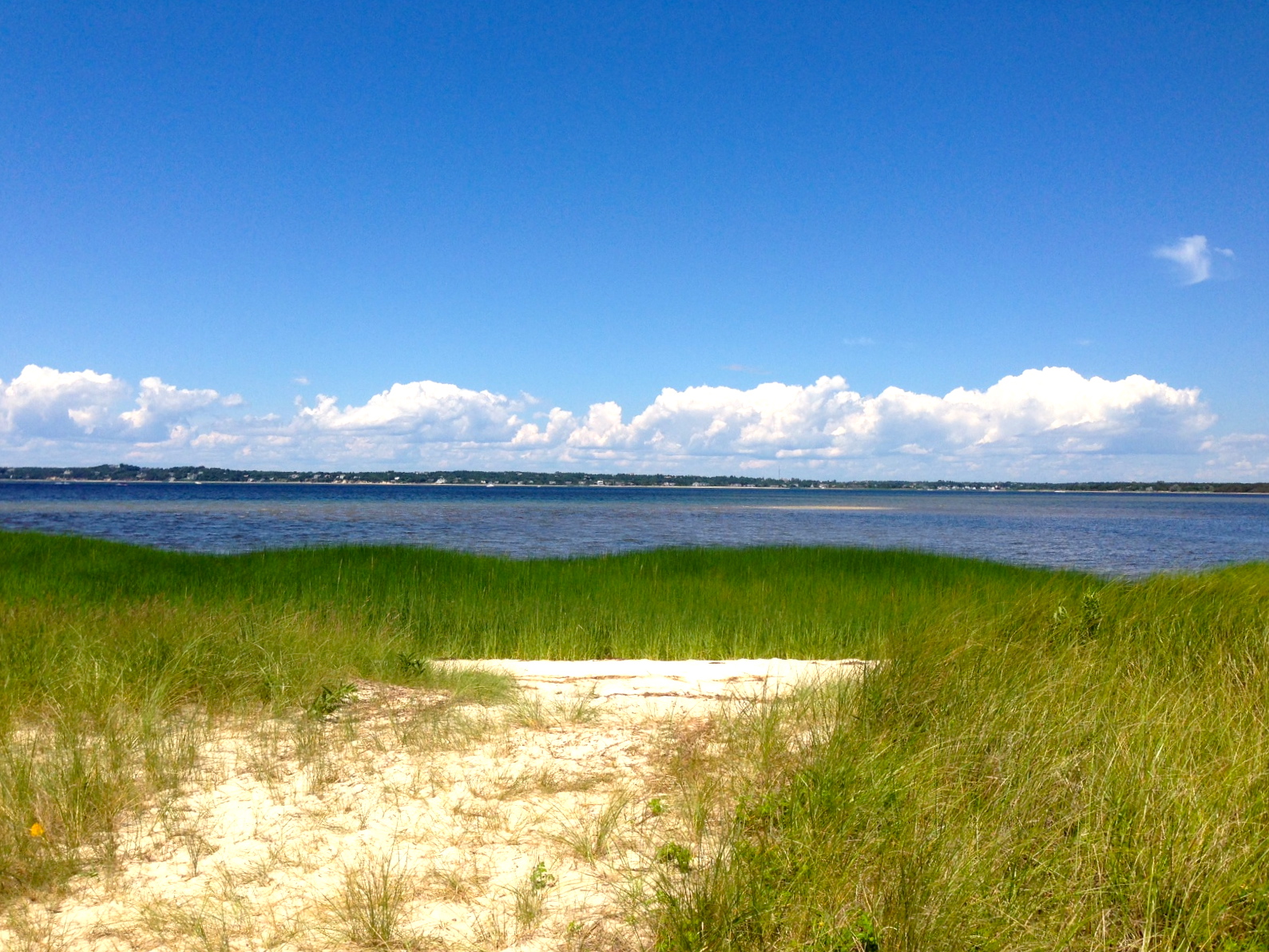 clamming