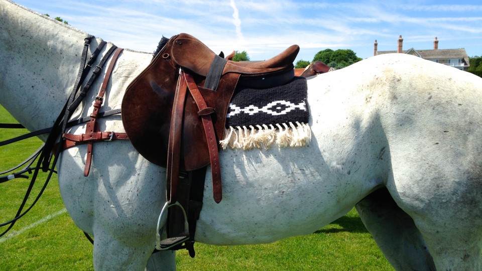 polo