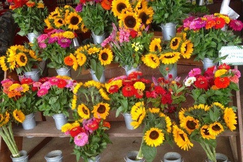 farm stand