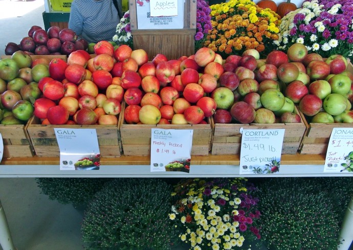 apple picking