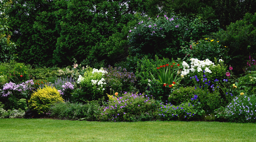 Gardening Angel Horticulture Inc