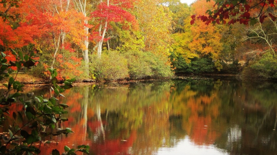 fall