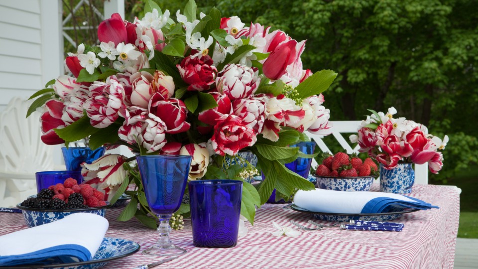 Variegated Tulips