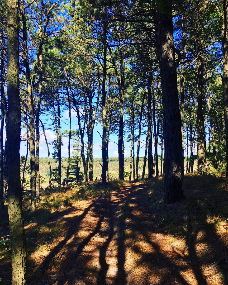 Meet Me Tonight To Discuss The Hills Resort Community In East Quogue KDHamptons