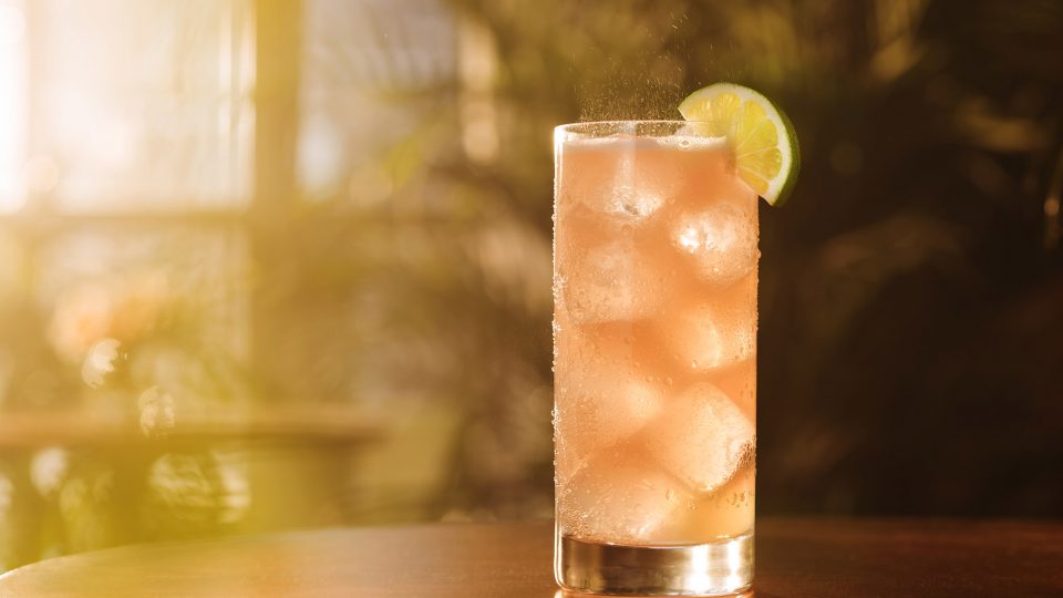 BACARDÍ-Cuatro-Grapefruit