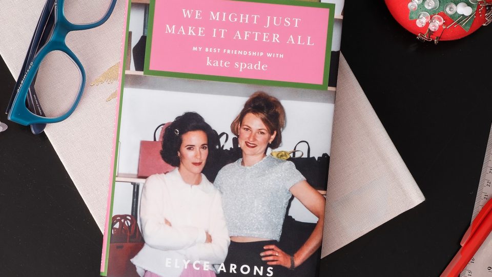 ELYCE_ARONS_BOOK_TEASER_space
