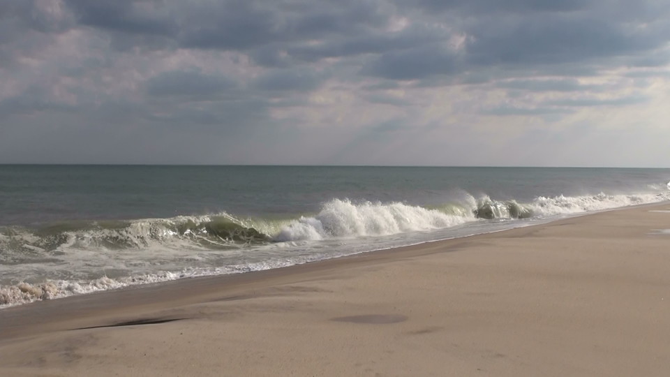 Beach still